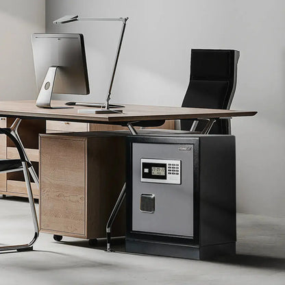 Datasavior Spacious Home Office Safe - HAOG